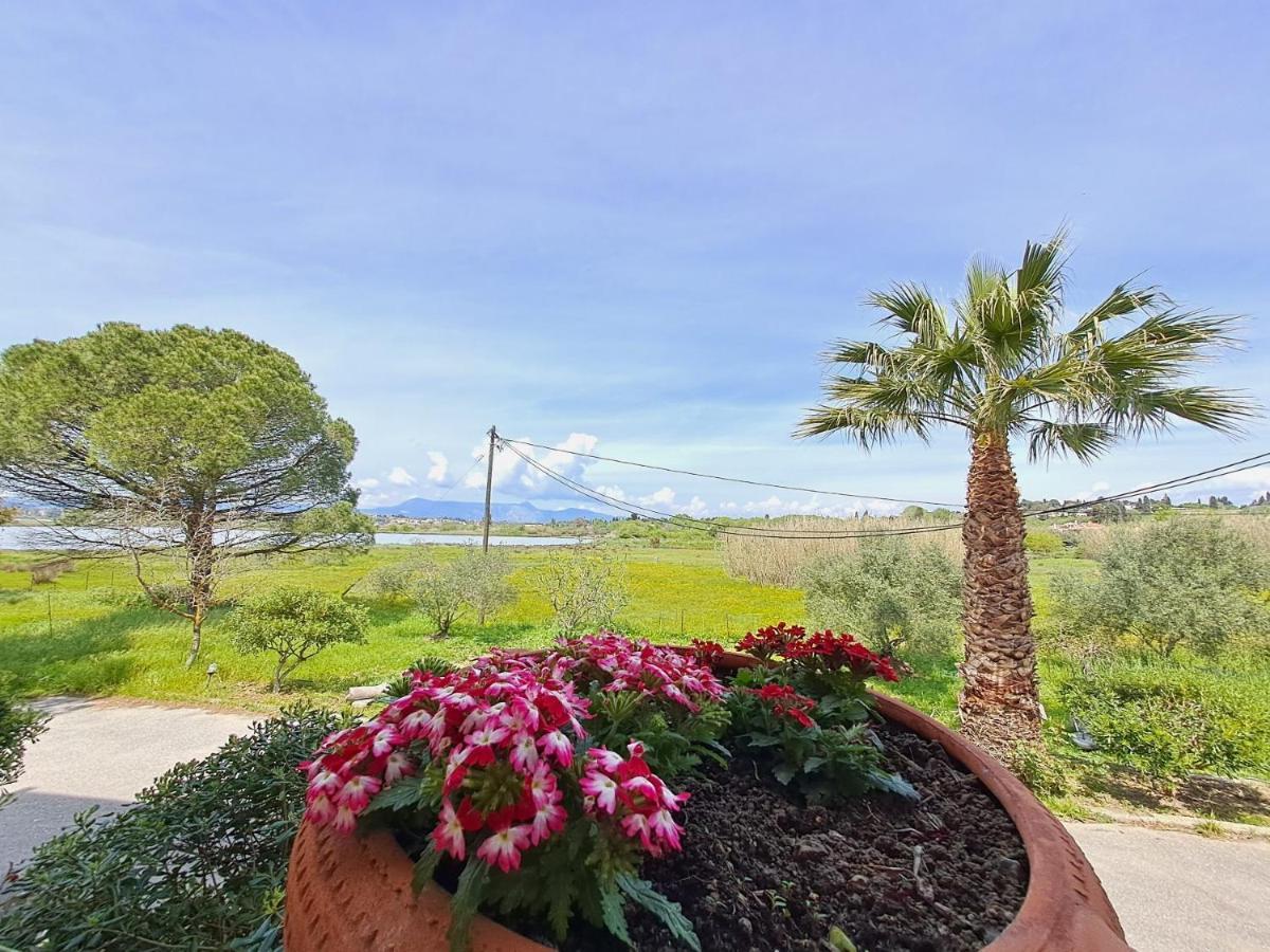 Corfu Lake House 卡诺尼 外观 照片